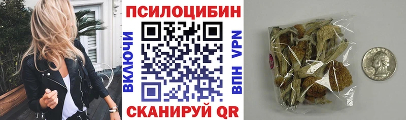 Галлюциногенные грибы мицелий  Вологда 