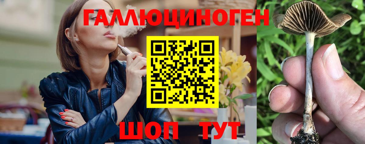 Вологда  наркота  Вход с VPN  Псилоцибиновые грибы GOLDEN TEACHER 